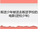 叛逆少年被送去叛逆学校的电影(逆校少年)