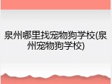 泉州哪里找宠物狗学校(泉州宠物狗学校)