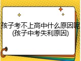孩子考不上高中什么原因呢(孩子中考失利原因)