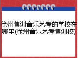 徐州集训音乐艺考的学校在哪里(徐州音乐艺考集训校)