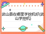 武山县在哪里学挖机好(武山学挖机)