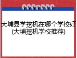 大埔县学挖机在哪个学校好(大埔挖机学校推荐)