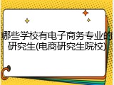 哪些学校有电子商务专业的研究生(电商研究生院校)