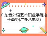 广东省外语艺术职业学院电子商务(广外艺电商)