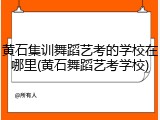 黄石集训舞蹈艺考的学校在哪里(黄石舞蹈艺考学校)