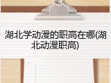 湖北学动漫的职高在哪(湖北动漫职高)