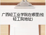 广西轻工业学院在哪里(桂轻工院地址)