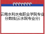 云南水利水电职业学院专业分数线(云水院专业分)