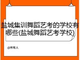 盐城集训舞蹈艺考的学校有哪些(盐城舞蹈艺考学校)