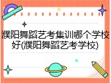 濮阳舞蹈艺考集训哪个学校好(濮阳舞蹈艺考学校)