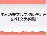 少林功夫文武学校收费明细(少林文武学费)
