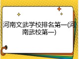 河南文武学校排名第一(河南武校第一)