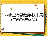 广西哪里有叛逆学校职高的(广西叛逆职高)