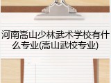 河南嵩山少林武术学校有什么专业(嵩山武校专业)
