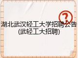 湖北武汉轻工大学招聘公告(武轻工大招聘)