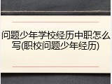 问题少年学校经历中职怎么写(职校问题少年经历)