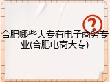 合肥哪些大专有电子商务专业(合肥电商大专)