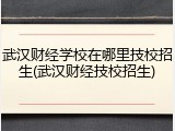 武汉财经学校在哪里技校招生(武汉财经技校招生)