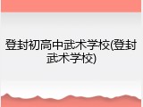 登封初高中武术学校(登封武术学校)