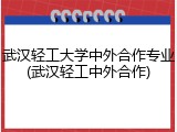 武汉轻工大学中外合作专业(武汉轻工中外合作)