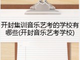 开封集训音乐艺考的学校有哪些(开封音乐艺考学校)