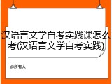 汉语言文学自考实践课怎么考(汉语言文学自考实践)