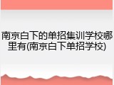 南京白下的单招集训学校哪里有(南京白下单招学校)
