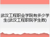 武汉工程职业学院有多少学生(武汉工程职院学生数)