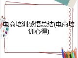 电商培训感悟总结(电商培训心得)