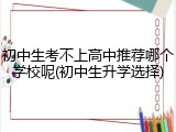 初中生考不上高中推荐哪个学校呢(初中生升学选择)