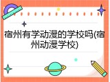 宿州有学动漫的学校吗(宿州动漫学校)