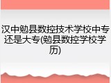 汉中勉县数控技术学校中专还是大专(勉县数控学校学历)