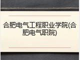 合肥电气工程职业学院(合肥电气职院)