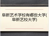 阜新艺术学校有哪些大学(阜新艺校大学)