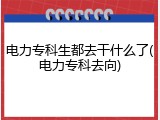 电力专科生都去干什么了(电力专科去向)
