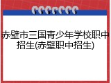 赤壁市三国青少年学校职中招生(赤壁职中招生)