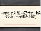 自考怎么知道自己什么时候报名的(自考报名时间)