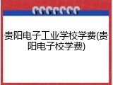 贵阳电子工业学校学费(贵阳电子校学费)