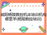 咸阳杨陵数控机床培训机构哪里学(杨陵数控培训)