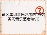 黄冈集训音乐艺考的学校(黄冈音乐艺考培训)
