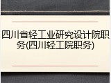 四川省轻工业研究设计院职务(四川轻工院职务)