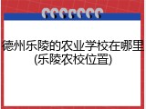 德州乐陵的农业学校在哪里(乐陵农校位置)