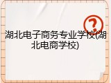 湖北电子商务专业学校(湖北电商学校)