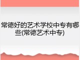 常德好的艺术学校中专有哪些(常德艺术中专)