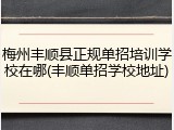 梅州丰顺县正规单招培训学校在哪(丰顺单招学校地址)