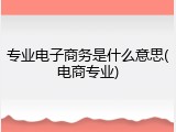 专业电子商务是什么意思(电商专业)