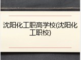 沈阳化工职高学校(沈阳化工职校)