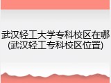 武汉轻工大学专科校区在哪(武汉轻工专科校区位置)