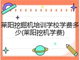 莱阳挖掘机培训学校学费多少(莱阳挖机学费)