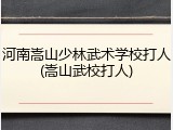 河南嵩山少林武术学校打人(嵩山武校打人)